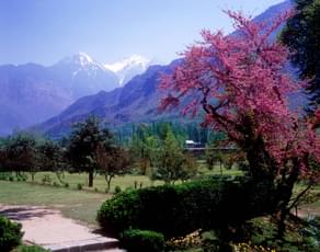 Bf2mlcwefvs9r0hss27sz5axuroy downpic.cc 19178109