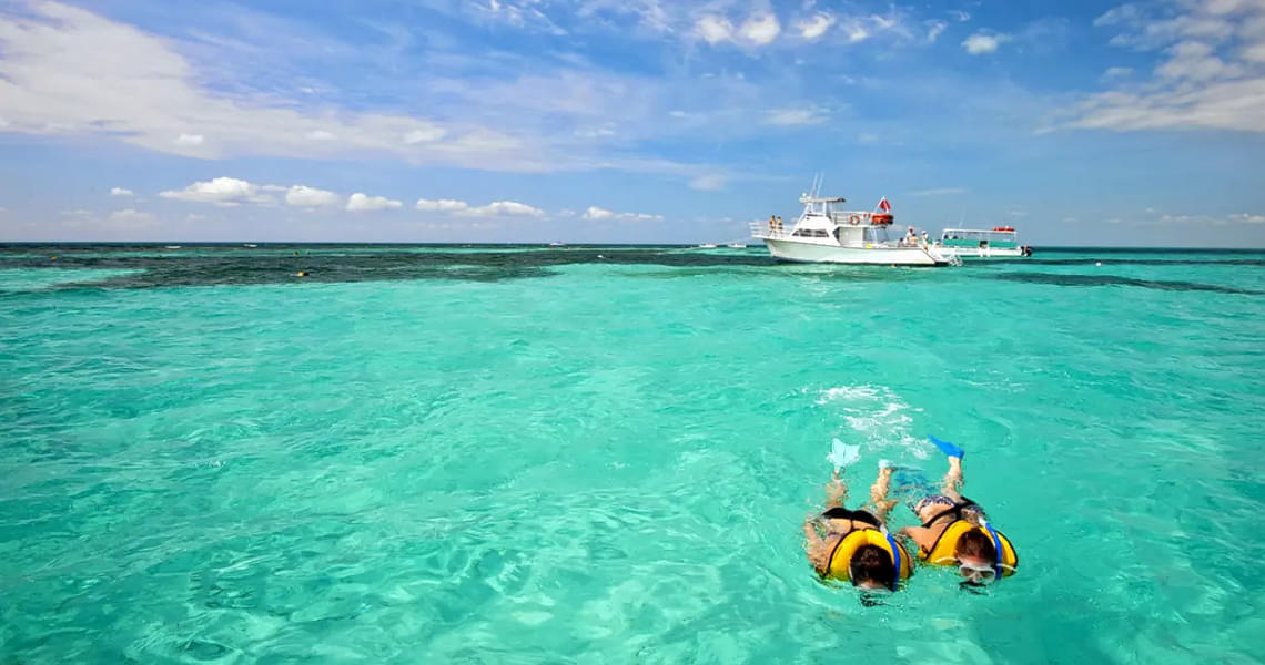 Miami to Key West Snorkeling Tour Image