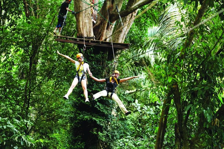 Have fun ziplining with your friends & family