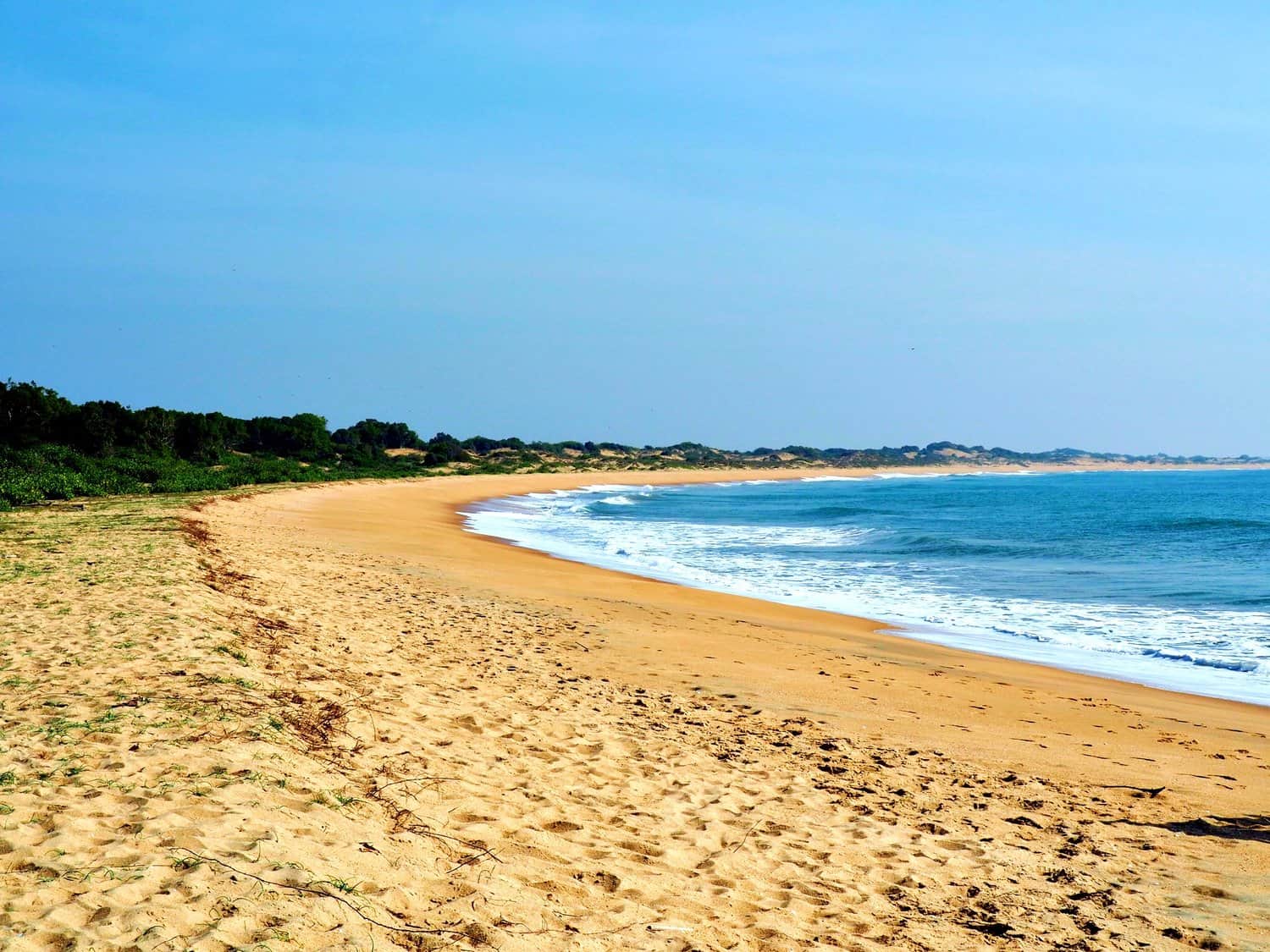 Go for Beach Walks