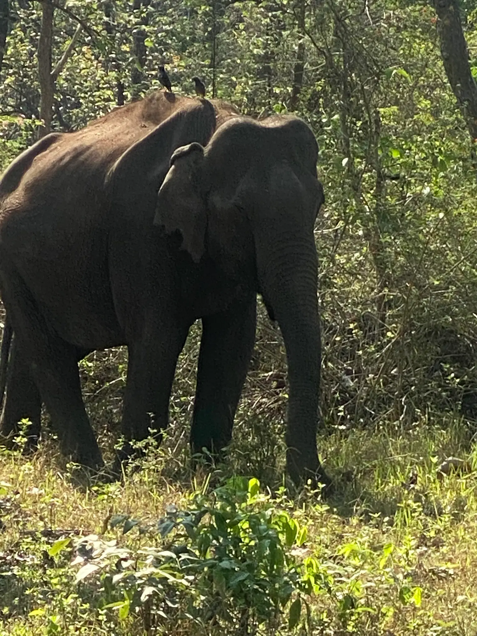 Photo from Yogish  H's trip