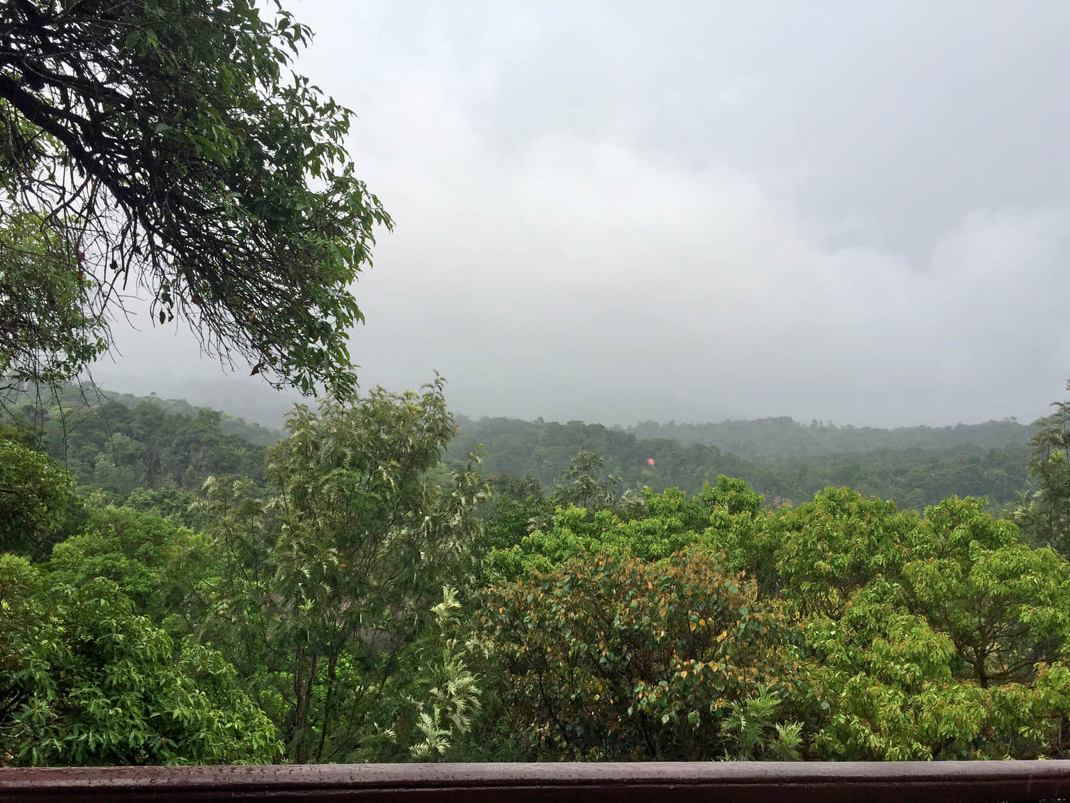 Photo from Anasuya Patil's trip