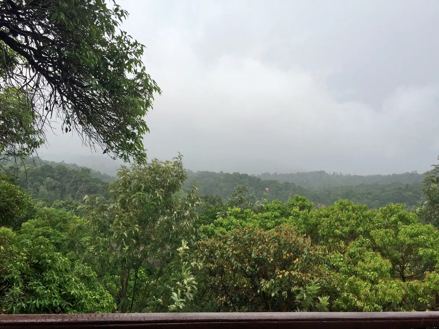 Photo from Anasuya Patil's trip