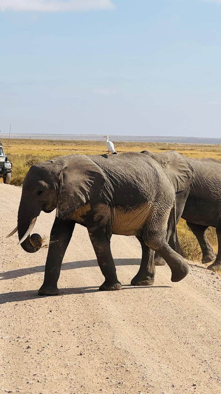 Photo from Ashit Shah's trip