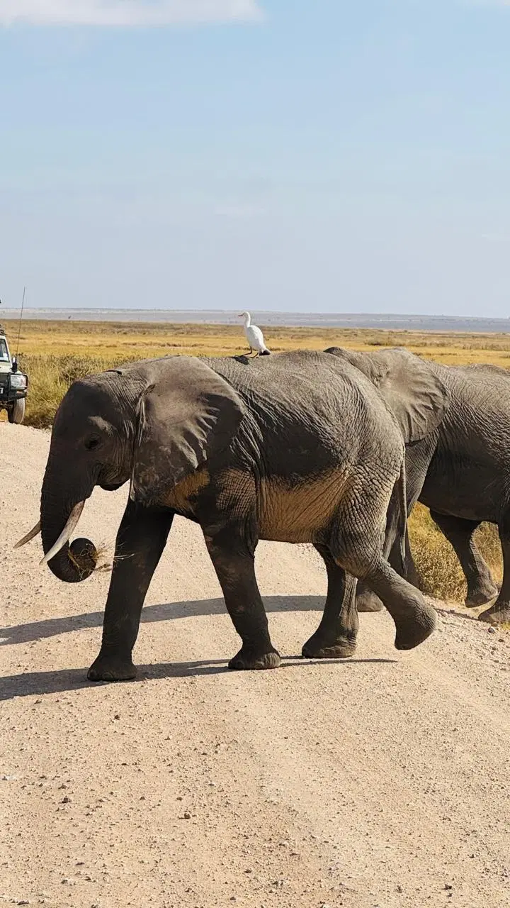 Photo from Ashit Shah's trip