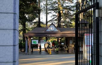 Book Shinjuku Gyoen National Garden tickets and spend 2 hours exploring the beautiful garden