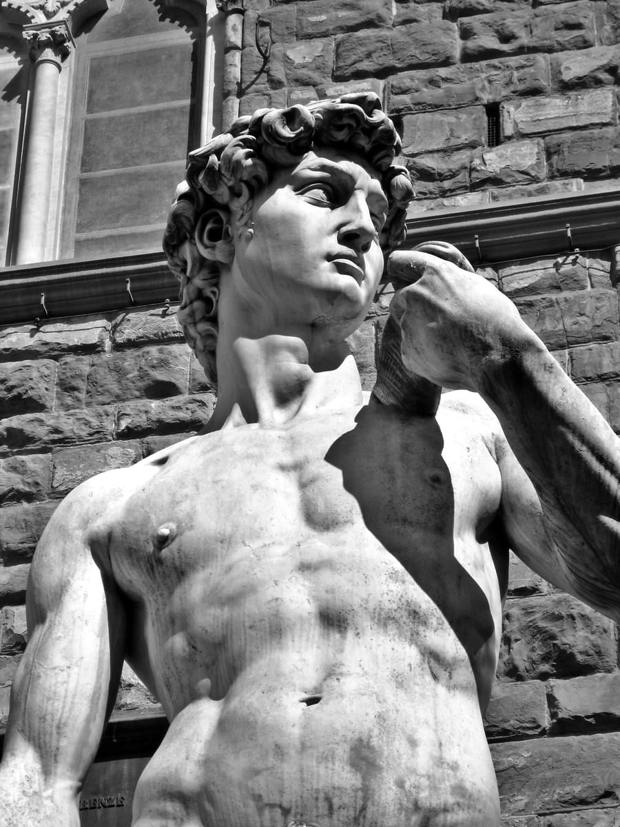 The Statue Of David By Michelangelo