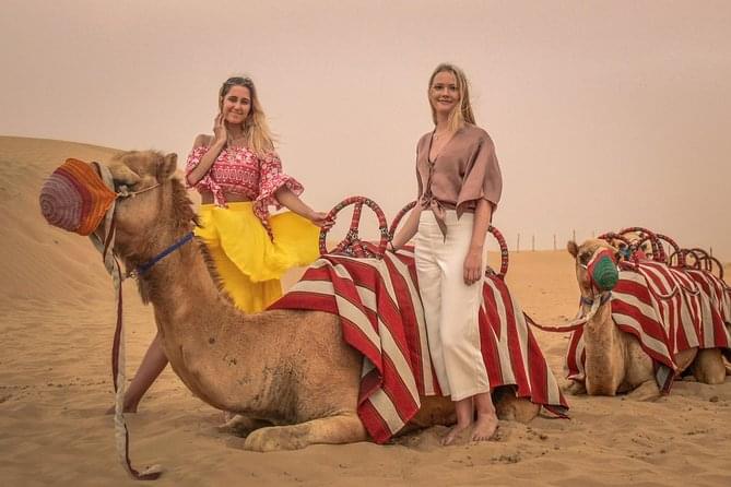 Meet and greet friendly camels at a charming desert oasis