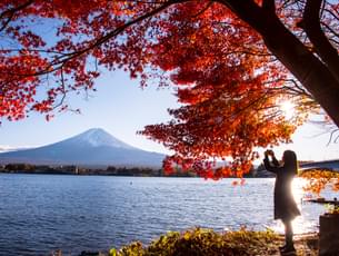 Mount Fuji & Hakone Tour