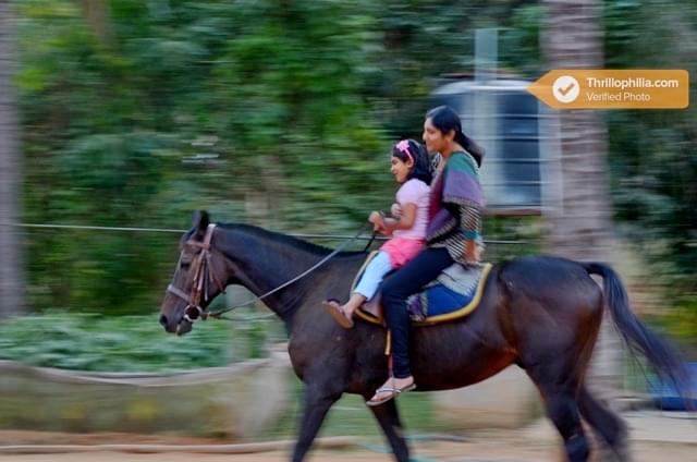 Horse Riding In Mysore Image