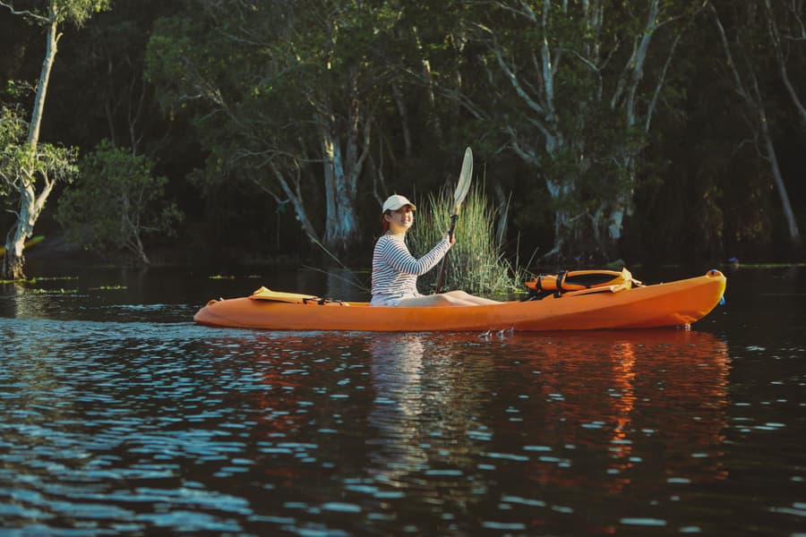 Kayaking in Mangroves Forest Image