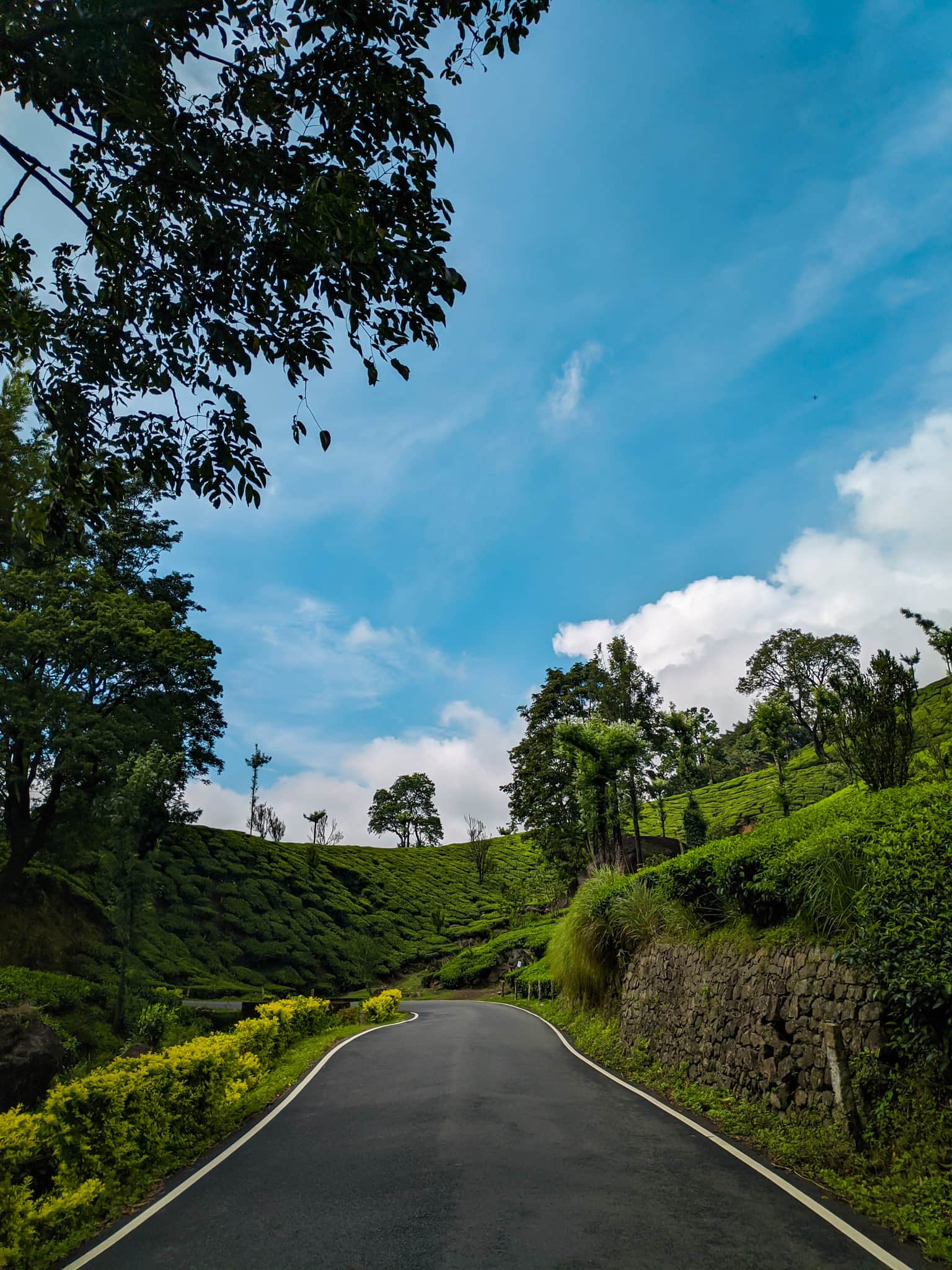 <em>Munnar</em> Tour Packages From Chennai 