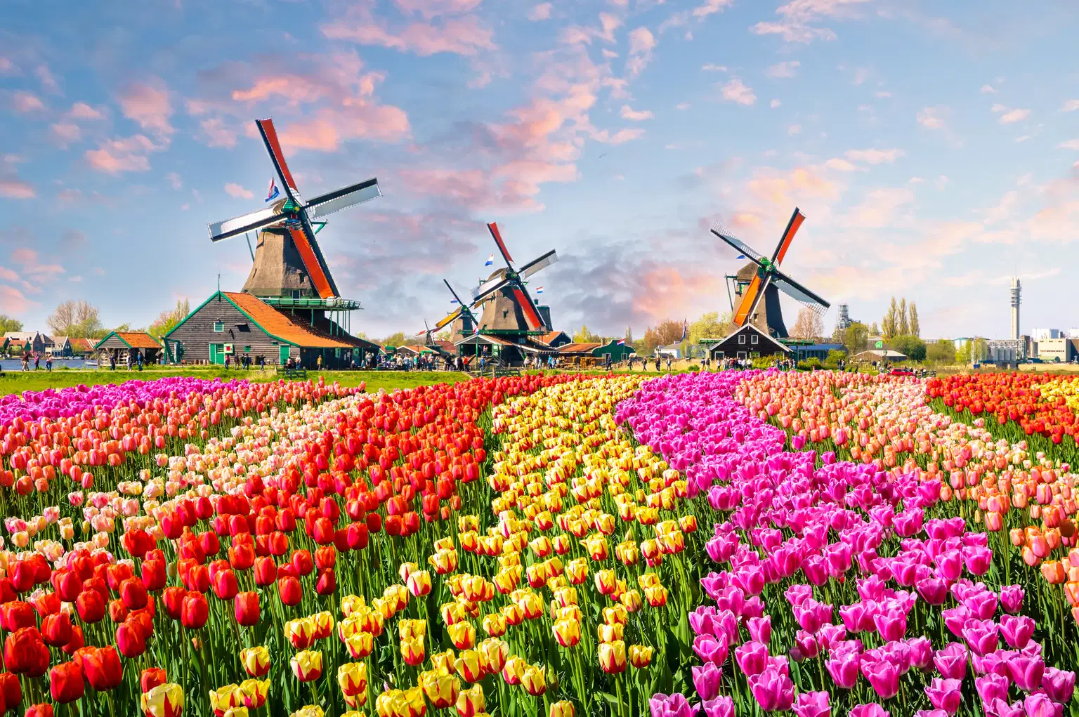Keukenhof and Zaanse Schans Day Tour, Amsterdam