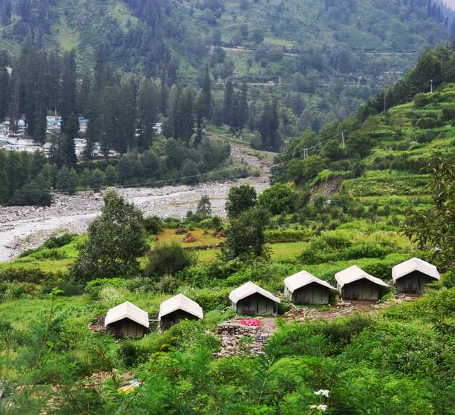 Camping in Solang Valley Image