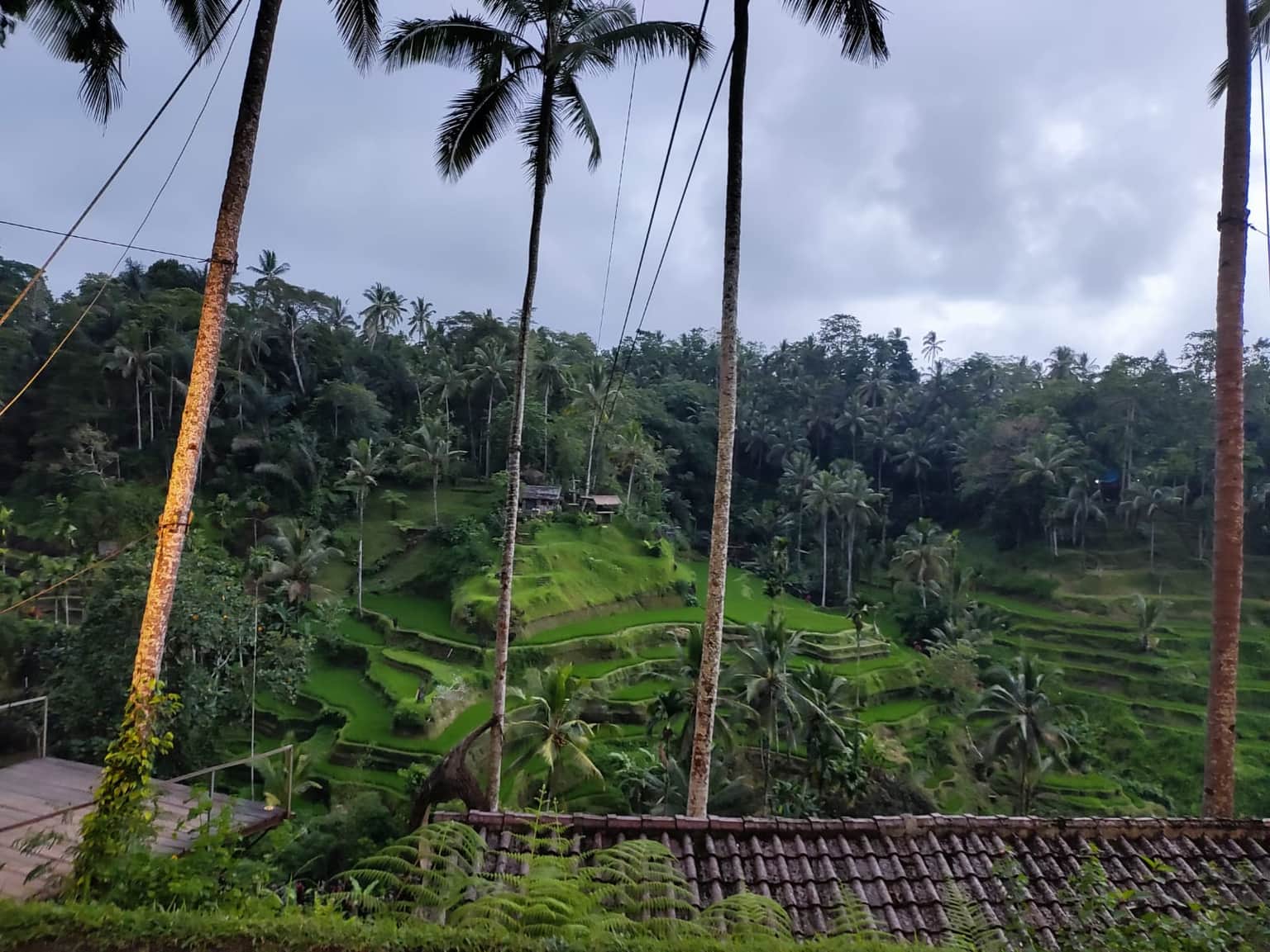 Photo from sai suhas's trip