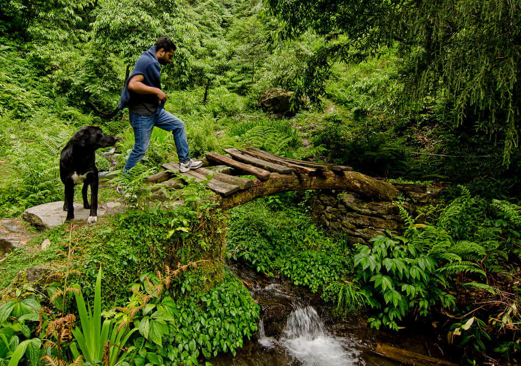 Explore the surroundings