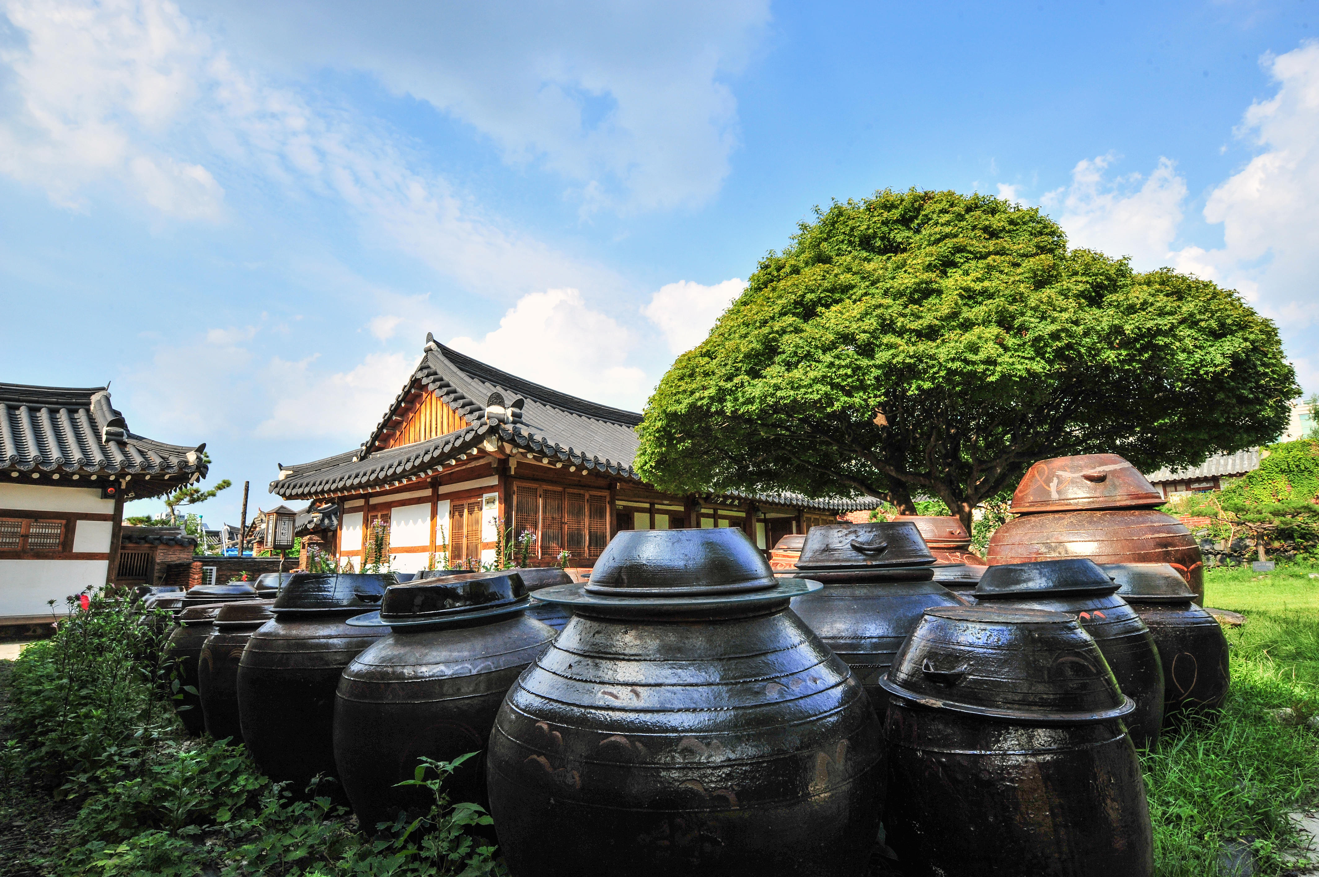 Jeonju Tour Packages | Upto 40% Off