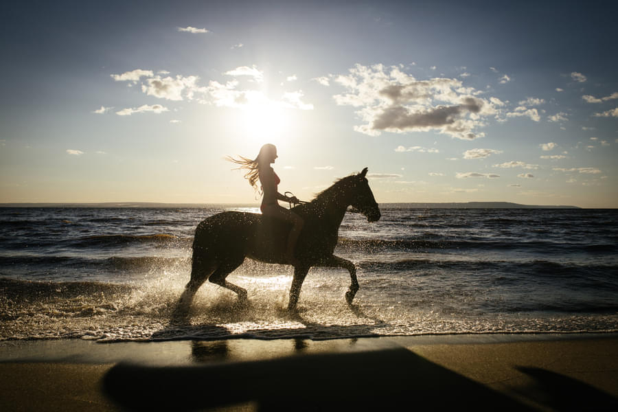 Horse Riding in Seminyak Image