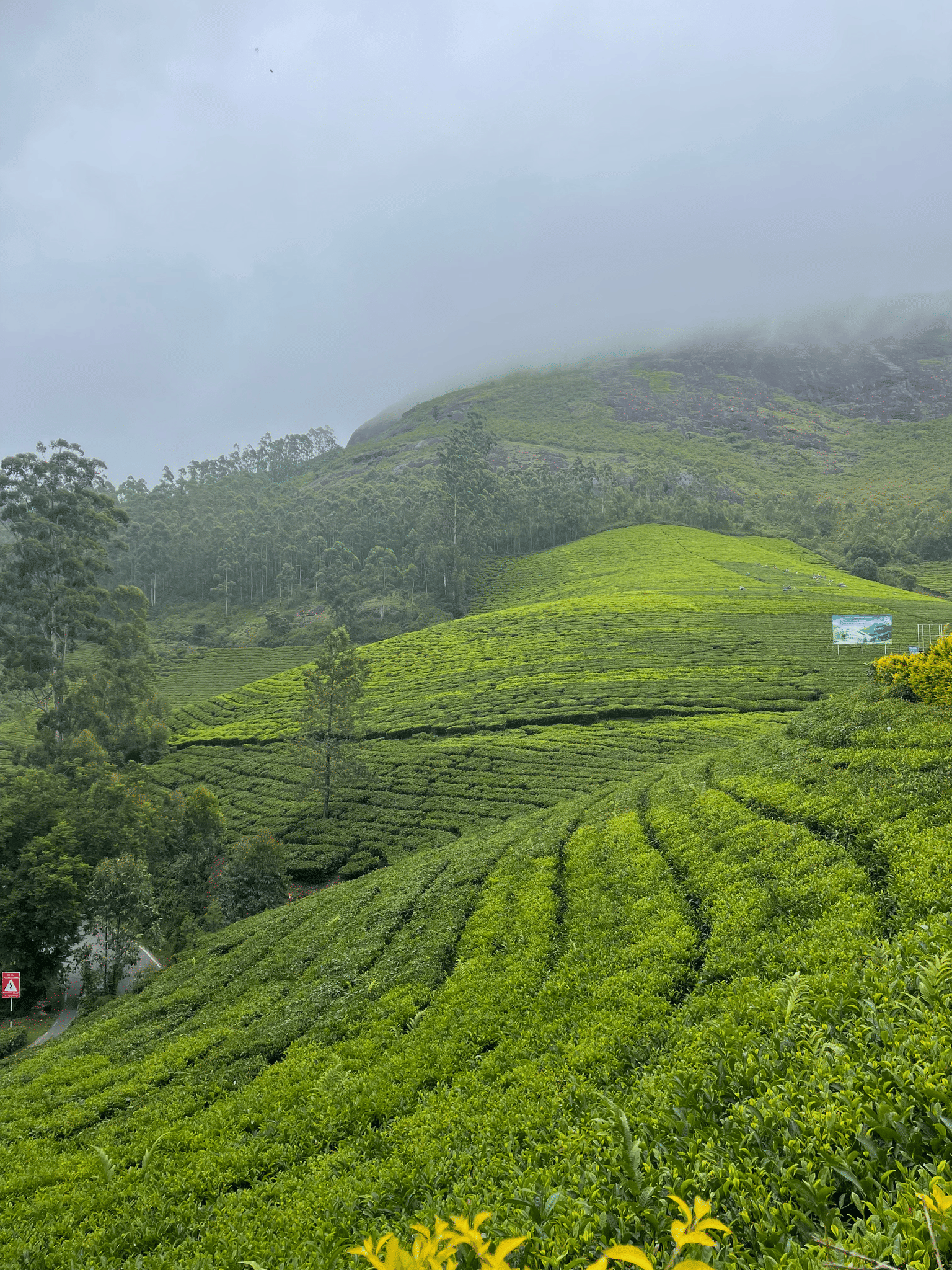 Munnar Alleppey Tour Package