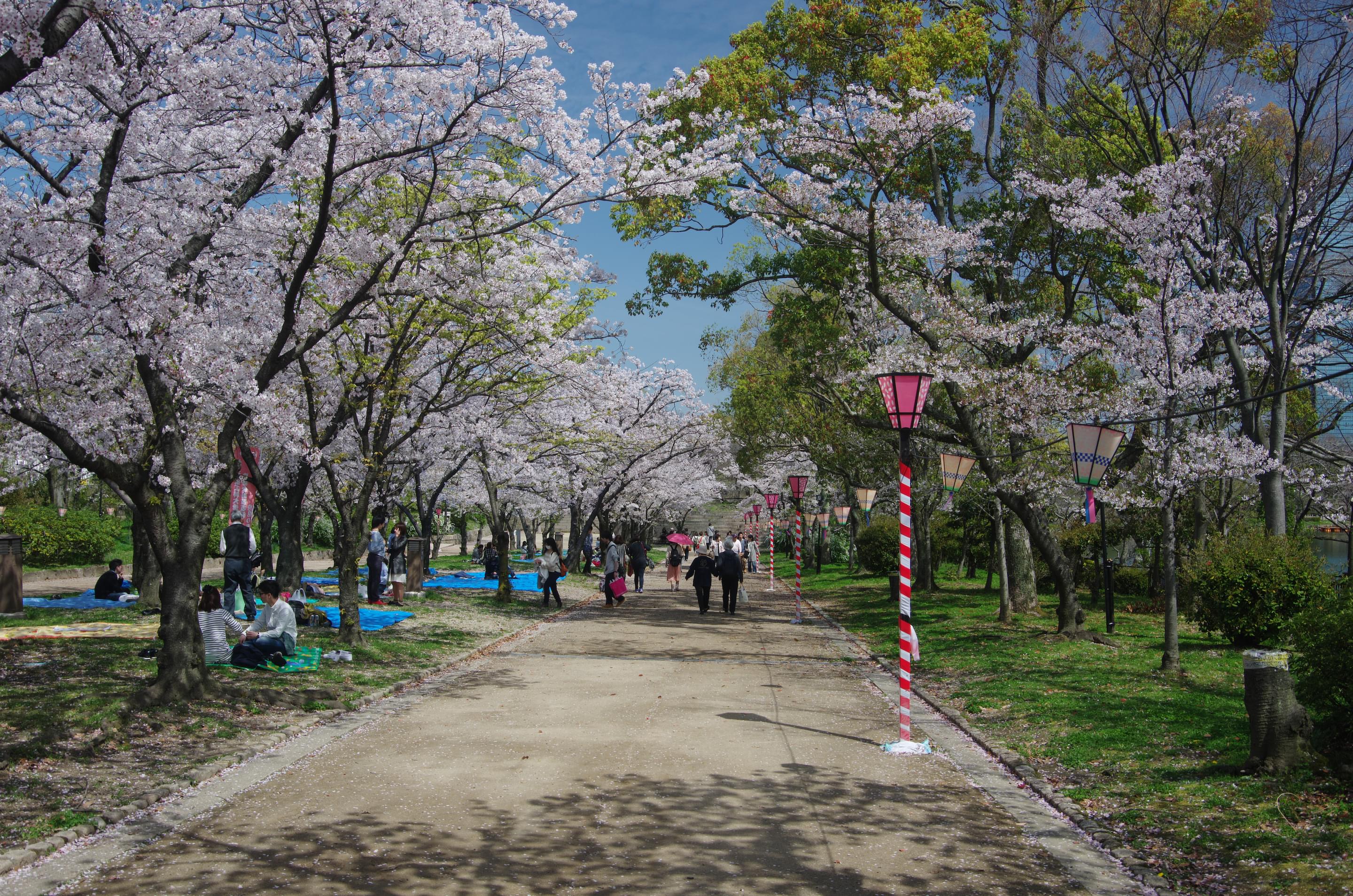 Nishinomaru Garden Overview