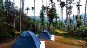Enjoy camping at a serene location in Wayanad