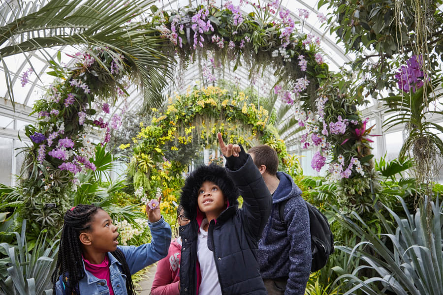 Let the kids explore beautiful gardens