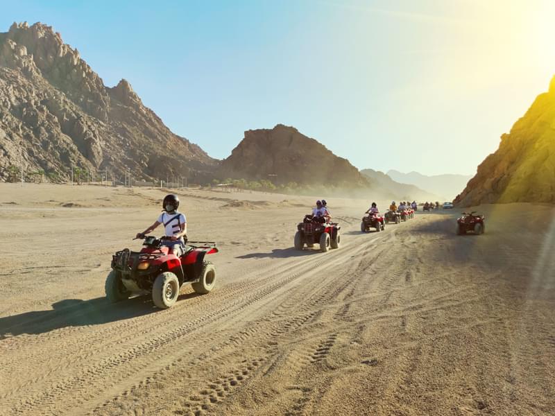 Morning Safari with Quad Bike Ride 20 minutes with Shared Transfer