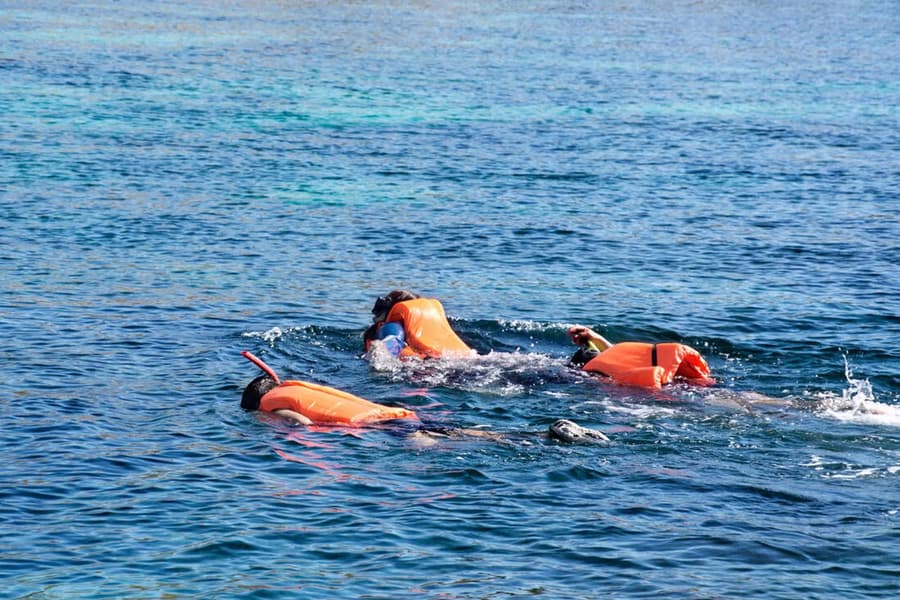  Pondicherry Ocean Safari Image