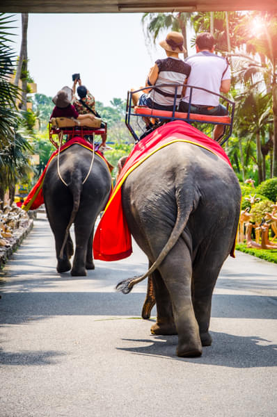 Sri Lanka with FREE Excursion to Kandy Image