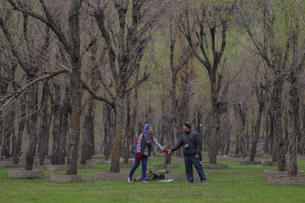 Tourist enjoying scenic view of the Betaab Valley, Kashmir