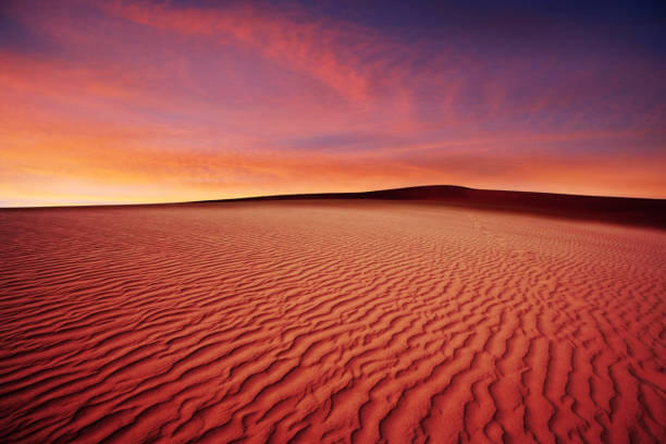 Evening Desert Safari