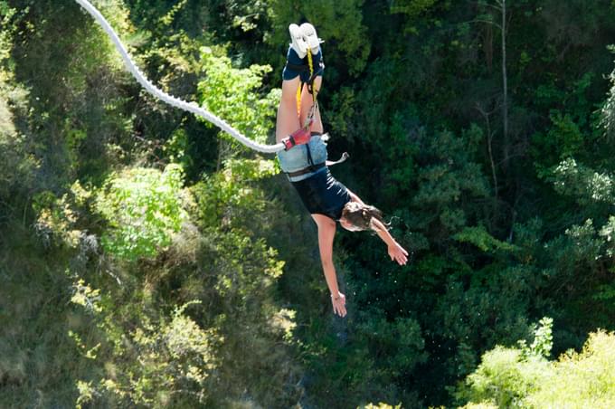 BungBungy Jumpingy Jumping