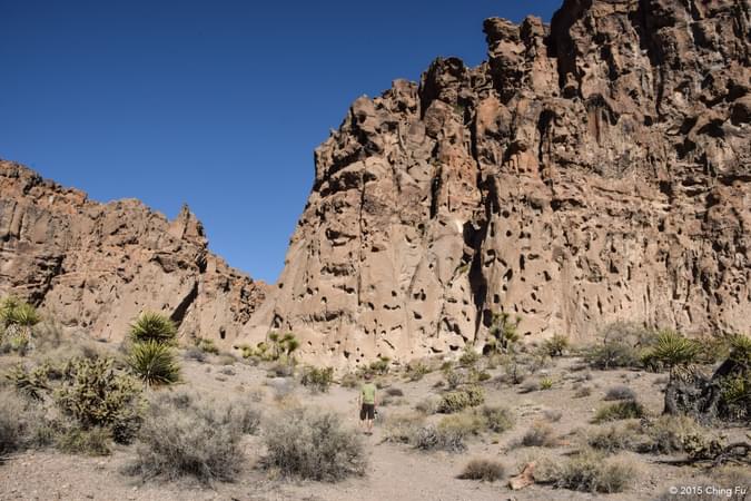 Mojave National Preserve