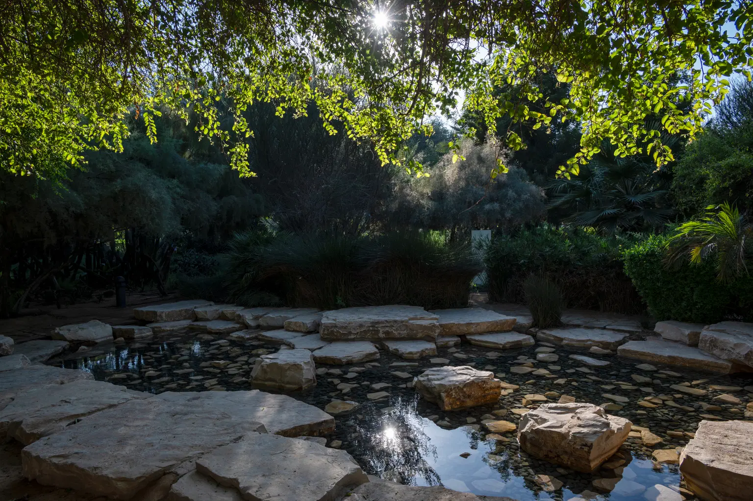 Botanic Garden