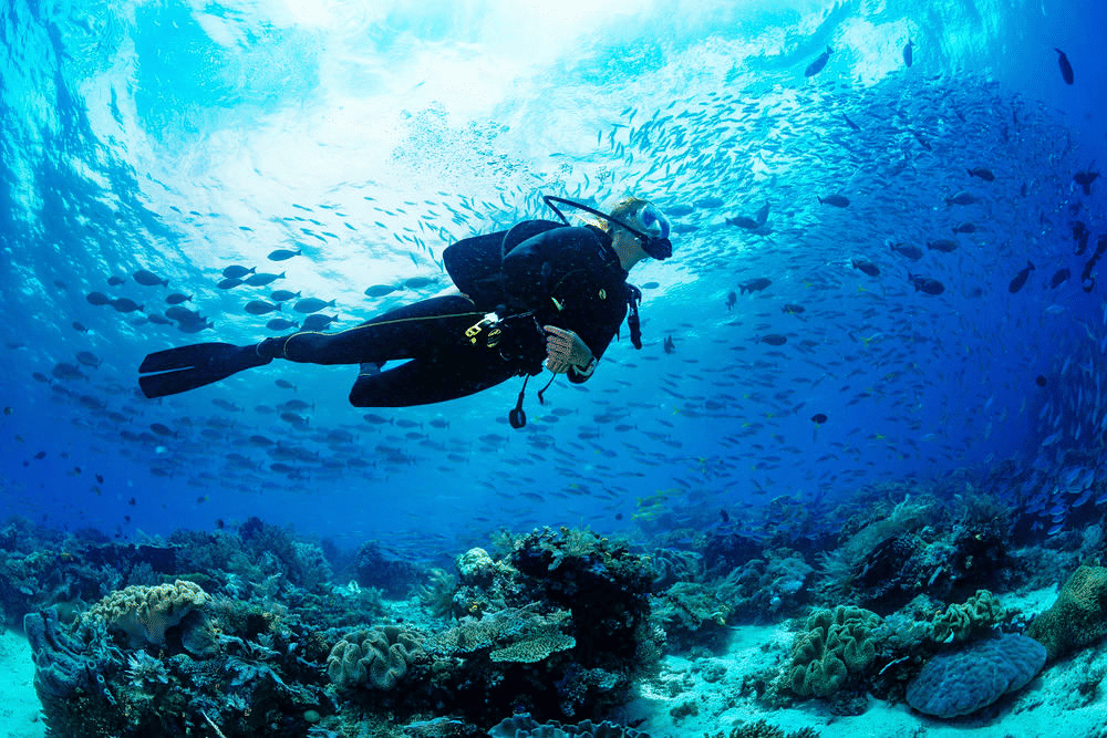 Scuba Diving
