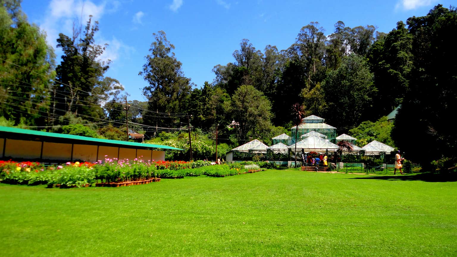 Government Botanical Garden
