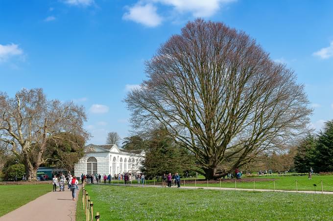 Kew Gardens Natural Area