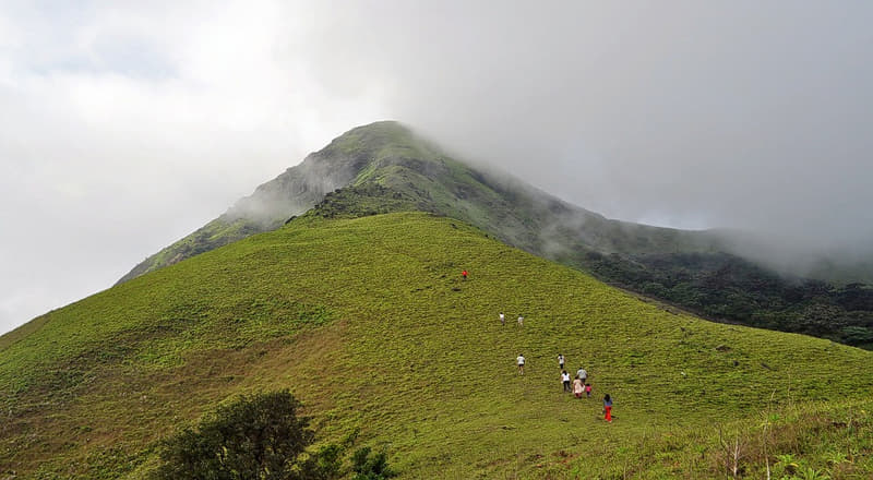Jenukal Gudda, Sakleshpur: How To Reach, Best Time Tips