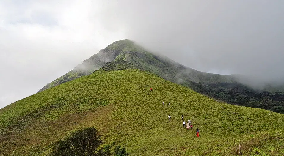 Jenukal Gudda