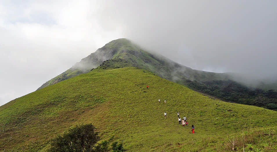 Jenukal Gudda, <em>Sakleshpur</em>