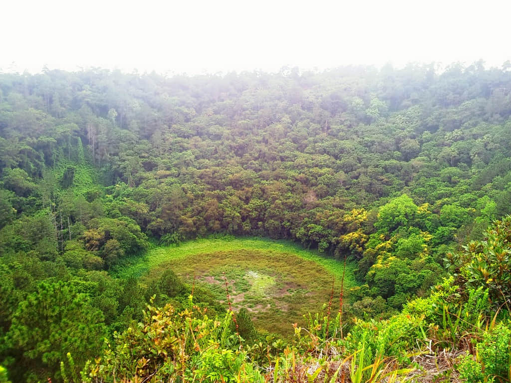 Trou Aux Cerfs, <em>Curepipe</em>