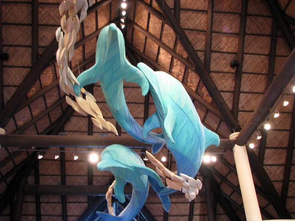 Discovery Cove Orlando