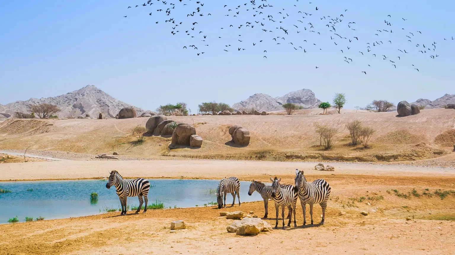 Sir Bani Yas Wildlife Park
