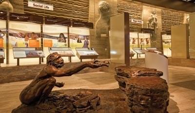 Get insights about evolution at Hall of Human Origins