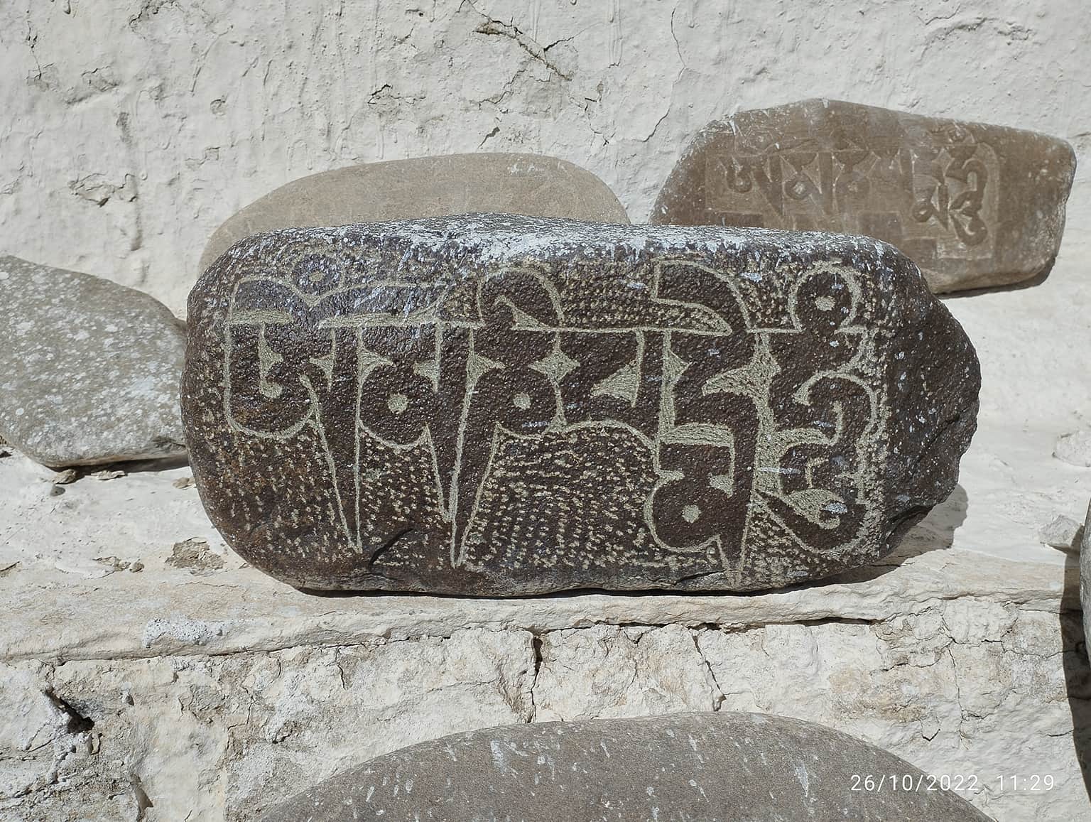 Photo from Trina  Das's trip