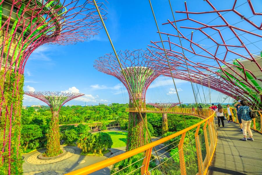 Explore Gardens By The Bay