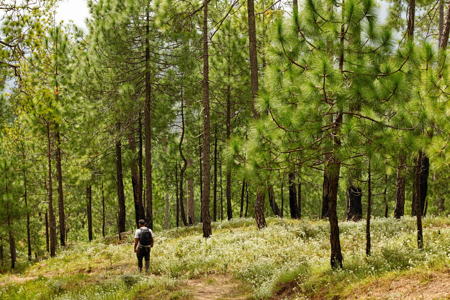 Lansdowne Corbett Tour Image