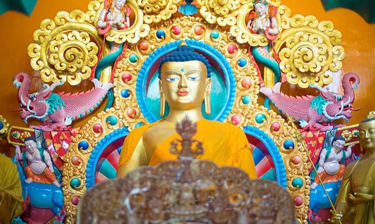 places to visit in mcleodganj at night Namgyal Monastery
