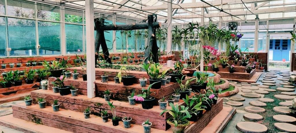 Visit the Natural Orchidaria and Orchid Herbarium