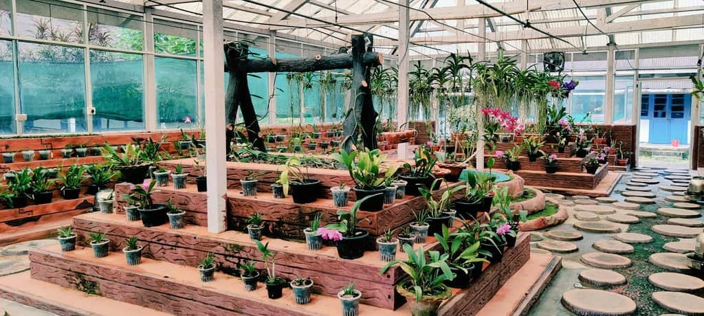 Visit the Natural Orchidaria and Orchid Herbarium